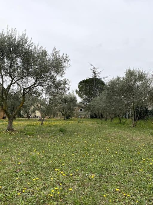 Bouchet  Le Nomade En Provence B&B 외부 사진